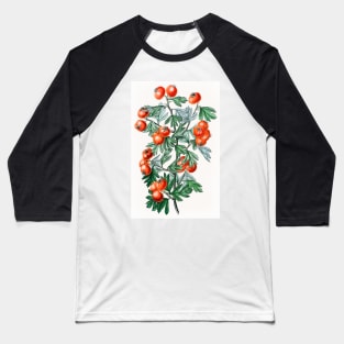 Sweetest-scented hawthorn flower branch Baseball T-Shirt